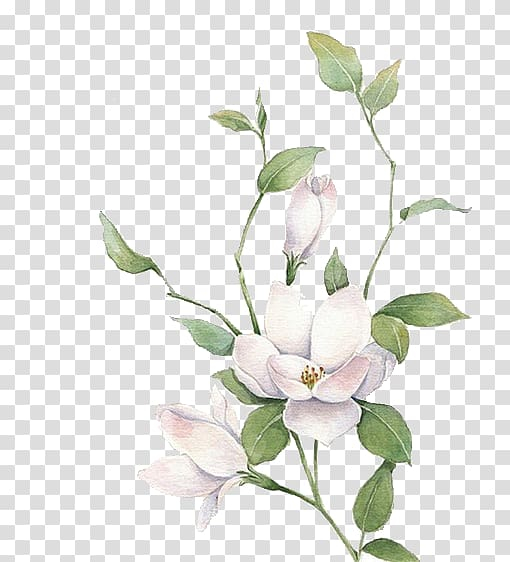 Detail White Flowers Transparent Background Nomer 33