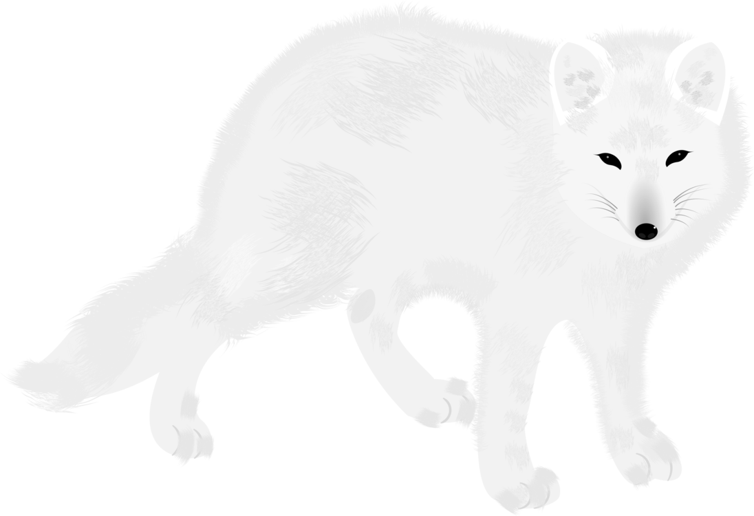 Detail White Fox Png Nomer 15