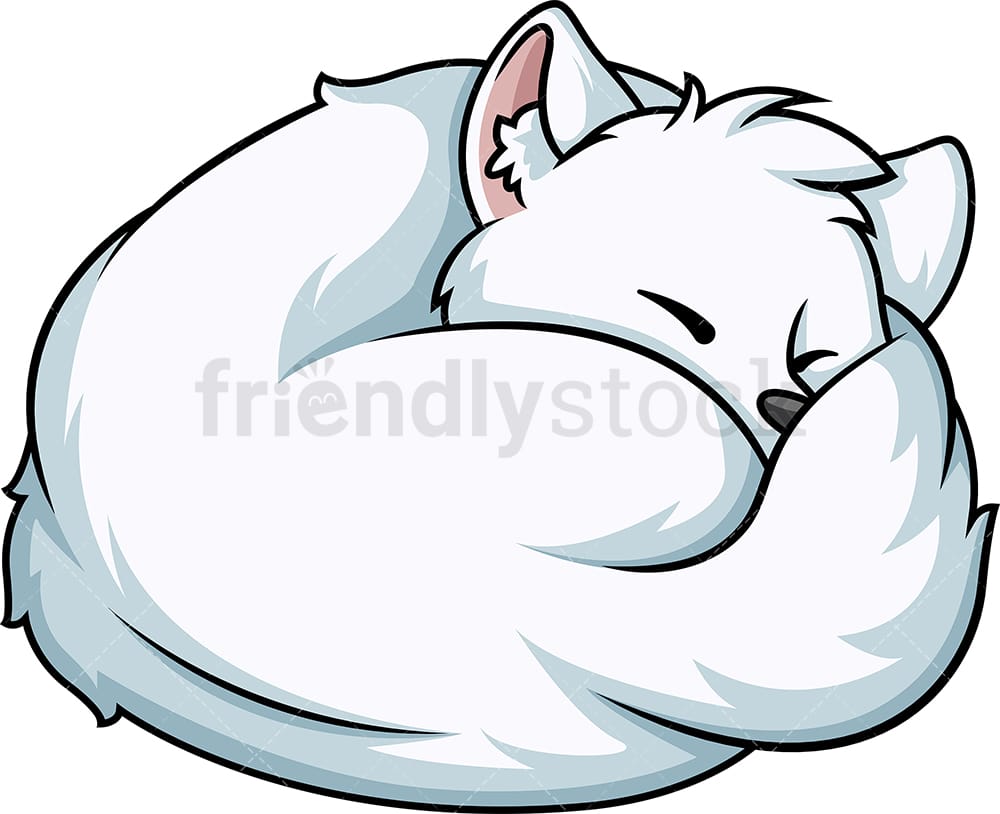 Detail White Fox Png Nomer 40