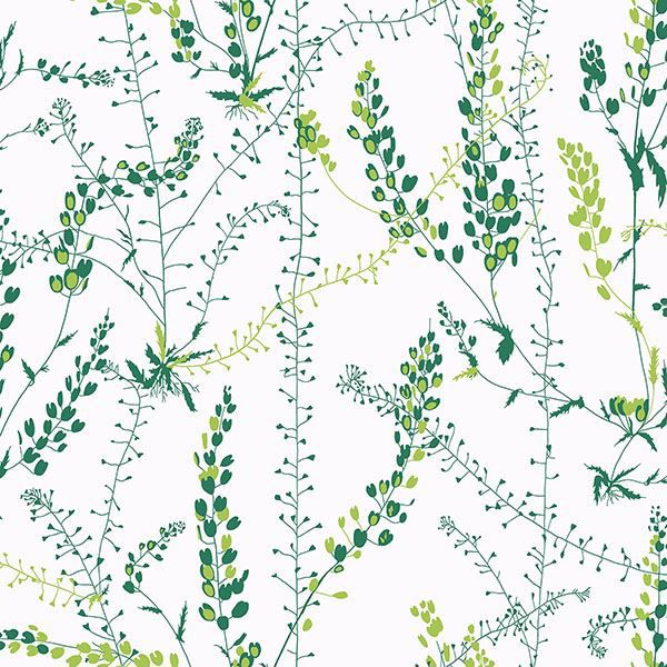 Detail White Green Wallpaper Nomer 20