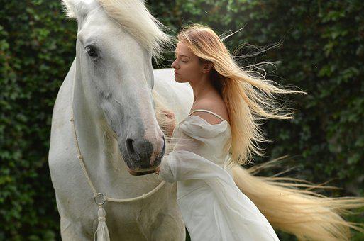 Detail White Horse Images Free Nomer 36