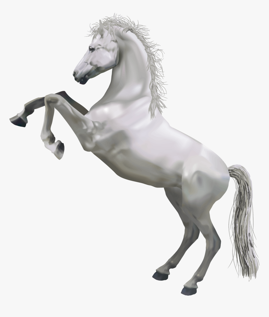 Detail White Horse Transparent Nomer 2