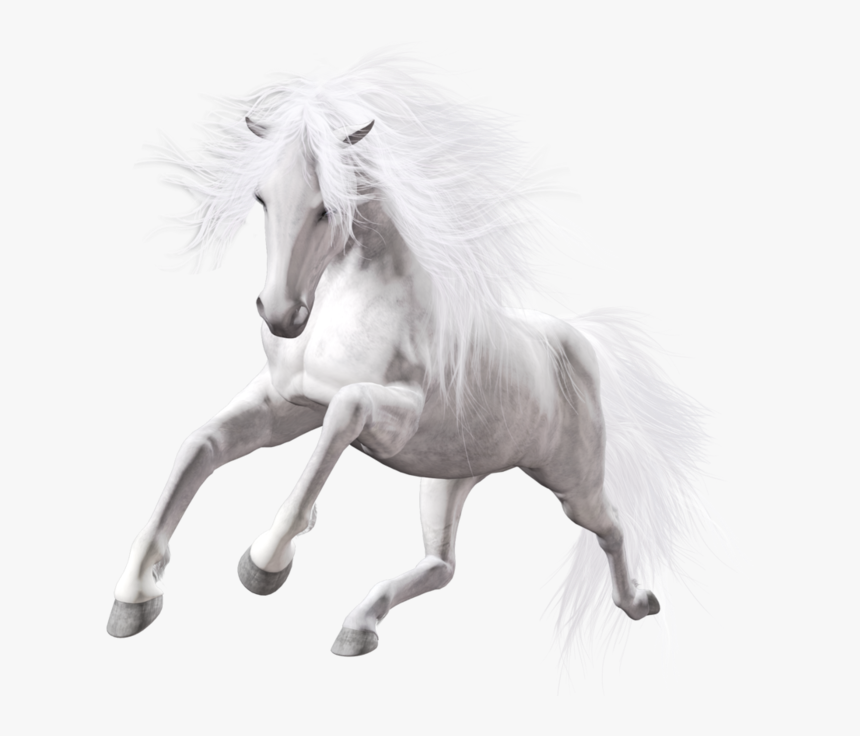 Detail White Horse Transparent Nomer 11