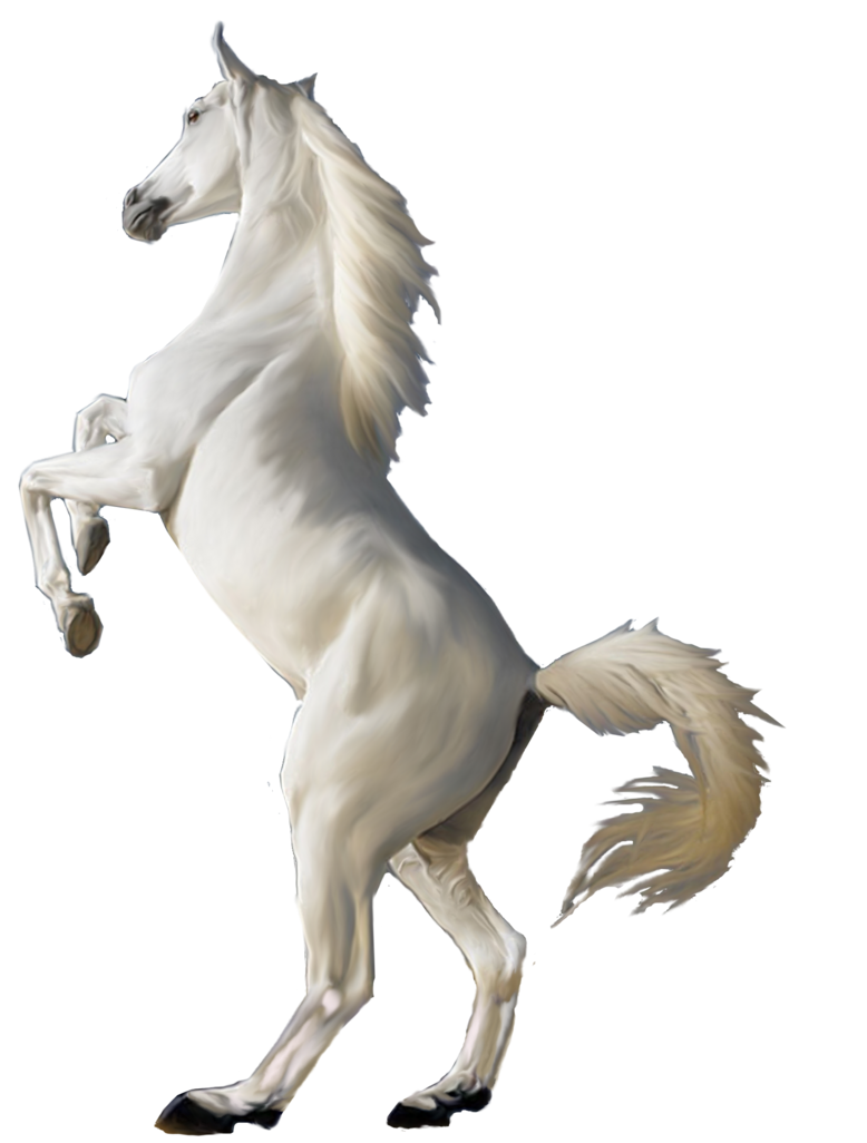 Detail White Horse Transparent Nomer 14