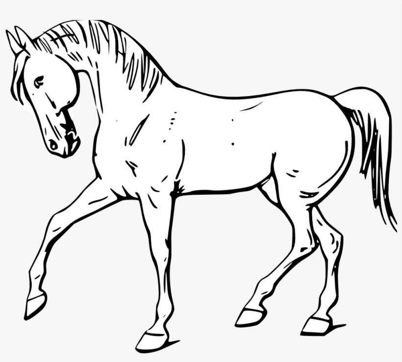 Detail White Horse Transparent Nomer 19
