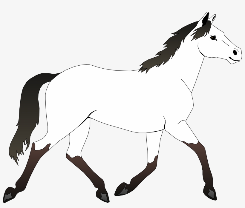 Detail White Horse Transparent Nomer 35