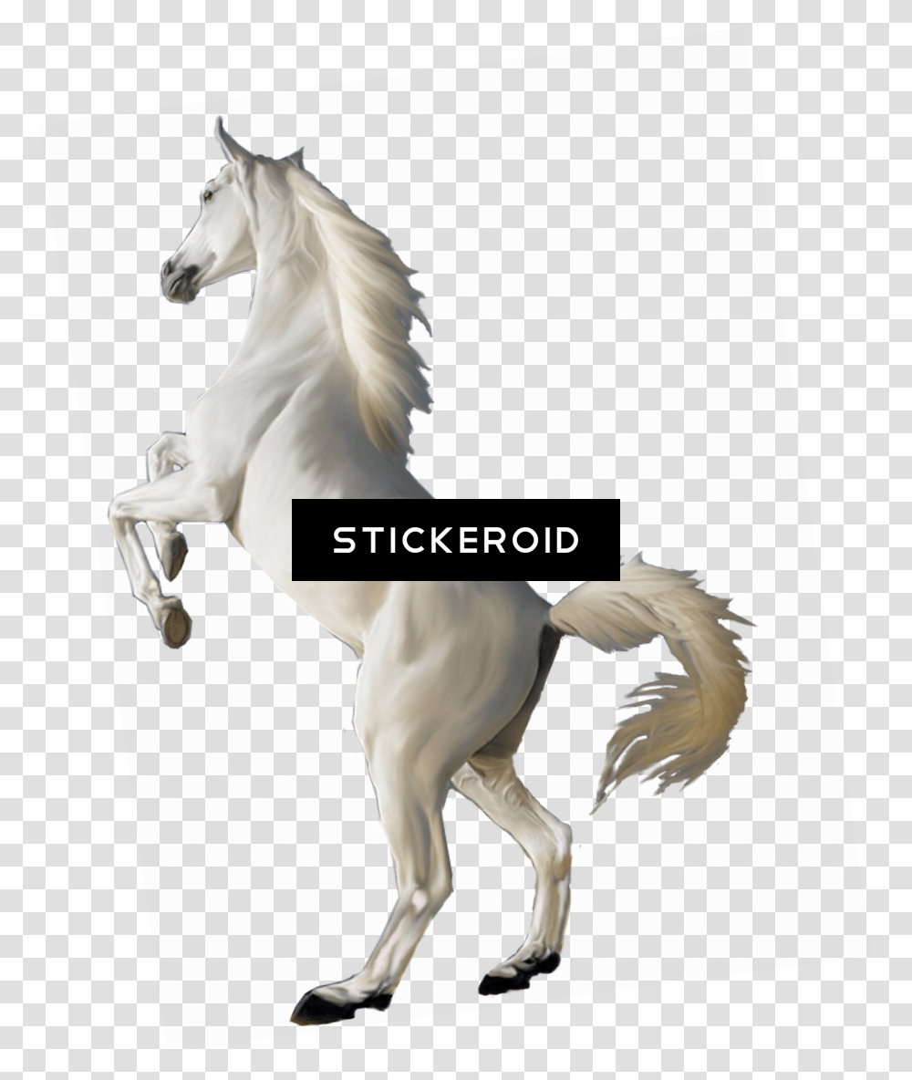 Detail White Horse Transparent Nomer 45