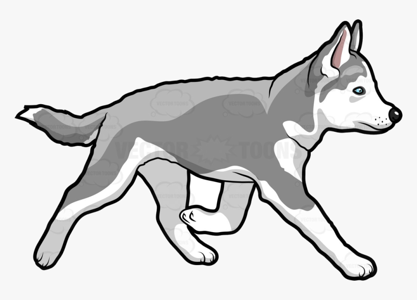 Detail White Husky Clipart Nomer 14