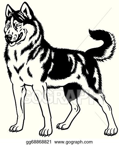 Detail White Husky Clipart Nomer 19