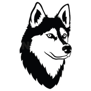 Detail White Husky Clipart Nomer 20