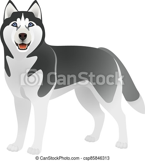 Detail White Husky Clipart Nomer 23