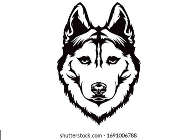 Detail White Husky Clipart Nomer 39