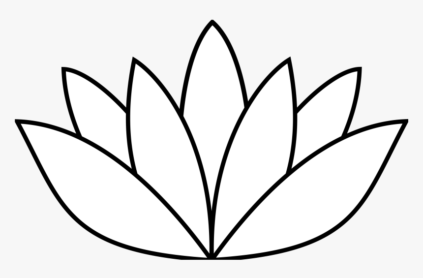 Download White Lotus Flower Png Nomer 53