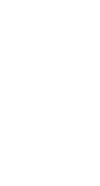 Detail White Ornament Png Nomer 12