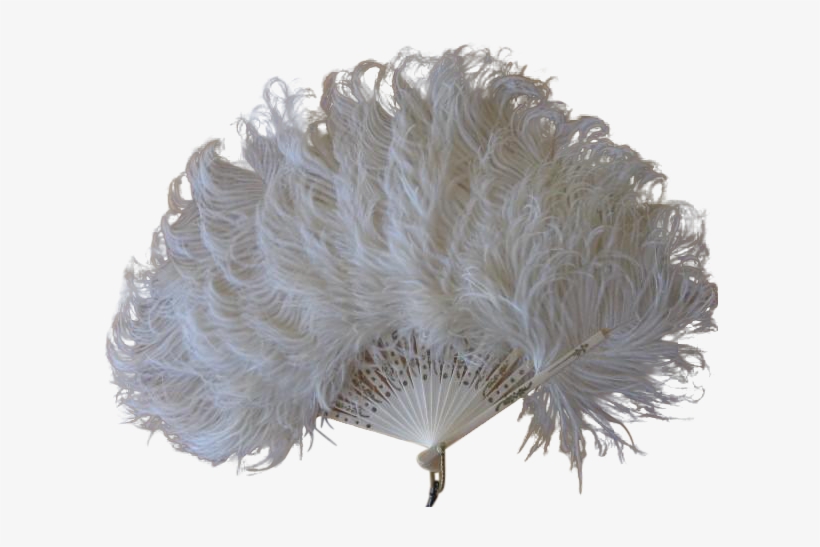 Detail White Ostrich Feather Fan Nomer 40