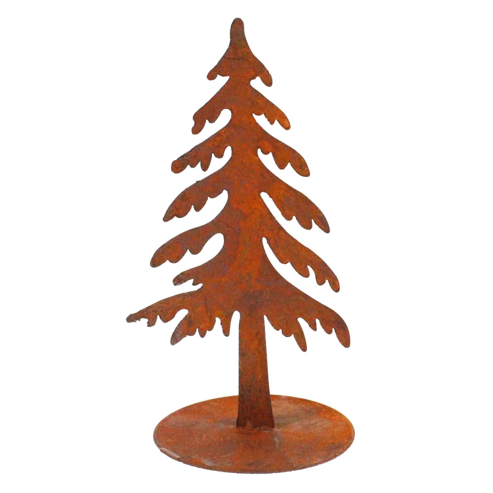 Detail Bilder Von Einem Tannenbaum Nomer 12