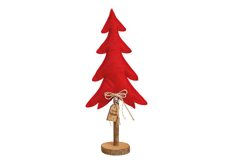Detail Bilder Von Einem Tannenbaum Nomer 15