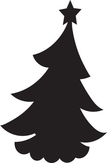 Detail Bilder Von Einem Tannenbaum Nomer 18