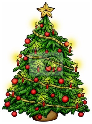 Detail Bilder Von Einem Tannenbaum Nomer 2