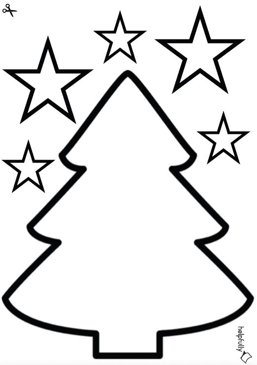 Detail Bilder Von Einem Tannenbaum Nomer 19