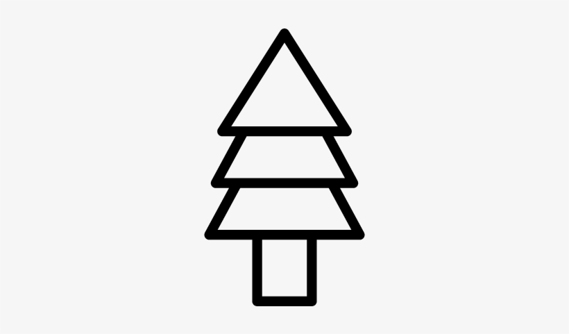Detail Bilder Von Einem Tannenbaum Nomer 22