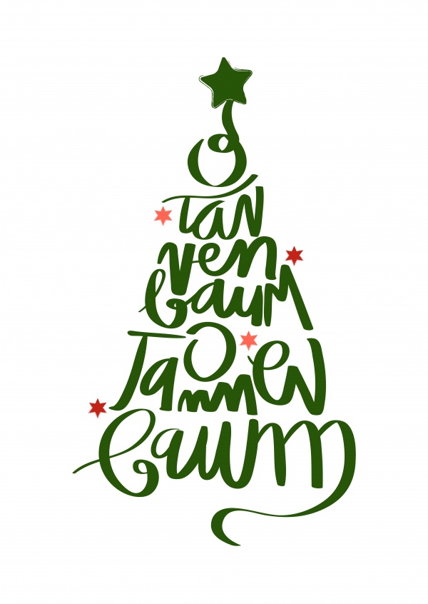 Detail Bilder Von Einem Tannenbaum Nomer 25