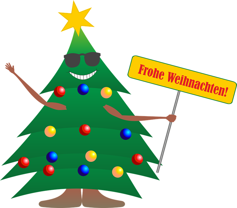 Detail Bilder Von Einem Tannenbaum Nomer 3