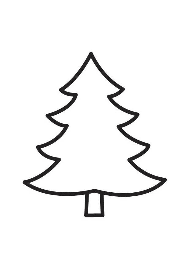 Detail Bilder Von Einem Tannenbaum Nomer 5
