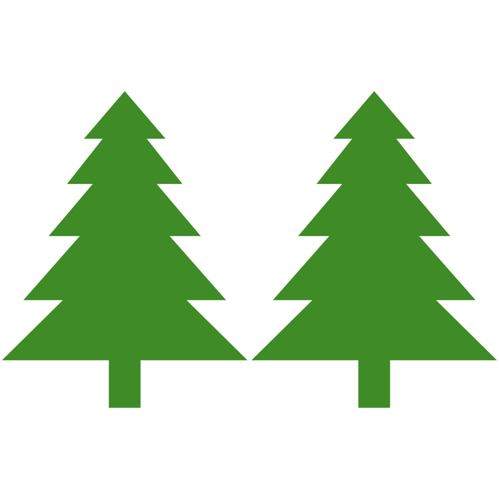 Detail Bilder Von Einem Tannenbaum Nomer 6