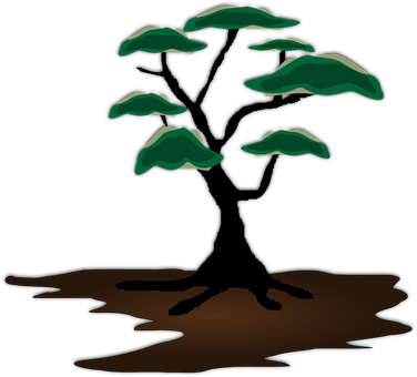 Detail Bonsai Baum Klein Nomer 9