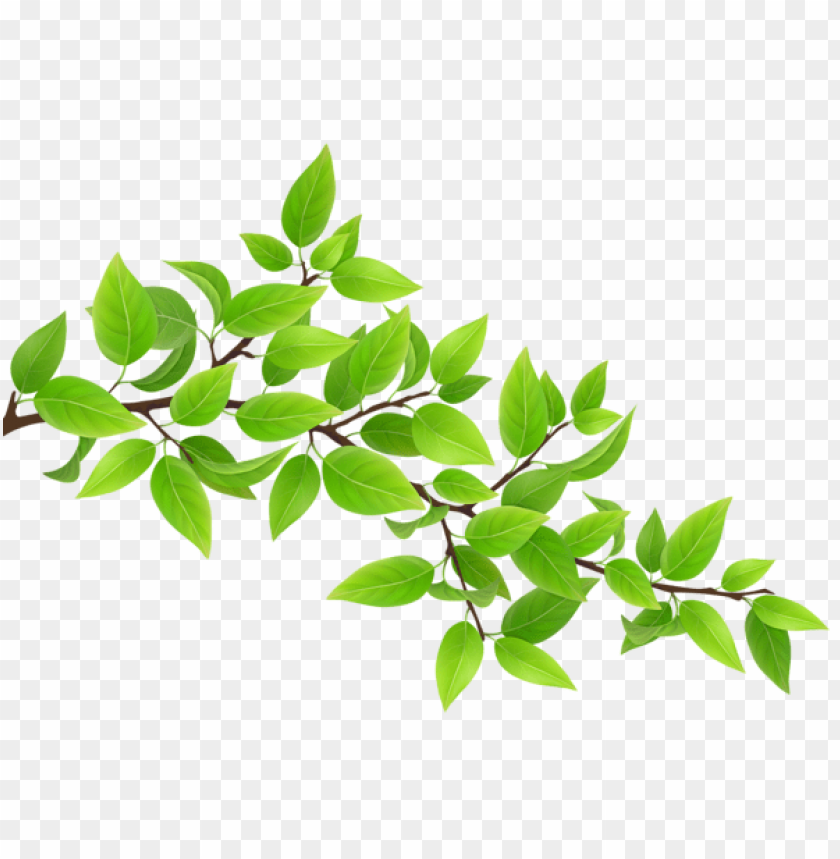 Detail Download Daun Png Nomer 52