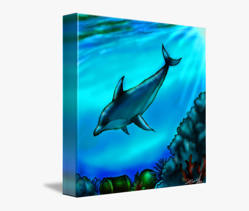 Detail Download Dolphin Nomer 48