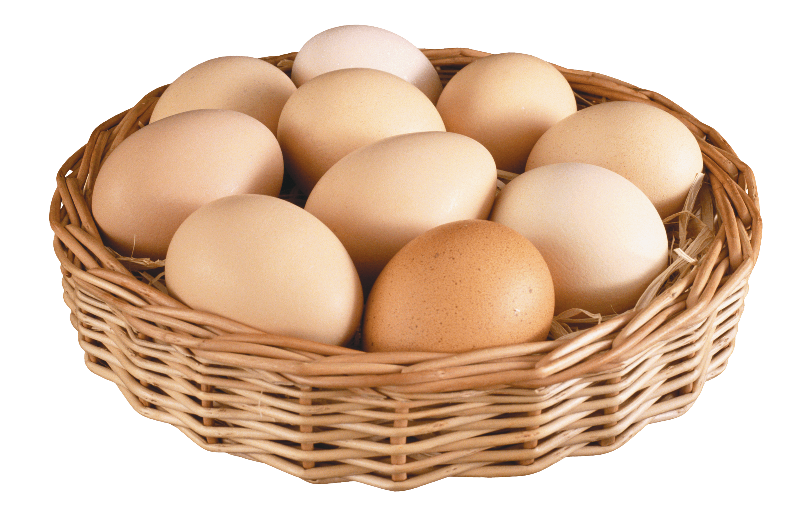 Detail Download Egg Nomer 3