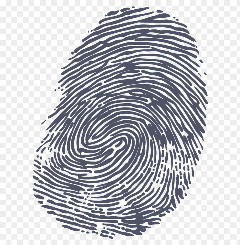 Detail Download Fingerprint Nomer 17