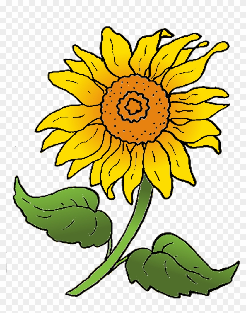 Detail Sonneblume Clipart Nomer 6