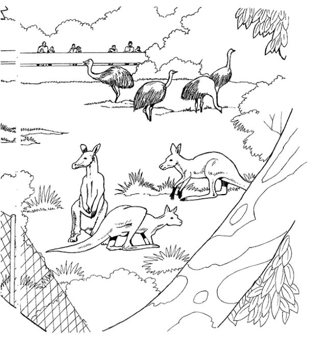 Detail Sketsa Gambar Kebun Binatang Nomer 32