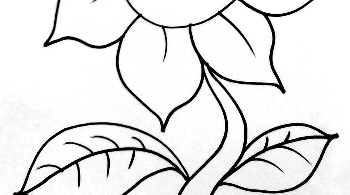 Detail Sketsa Gambar Kolase Bunga Matahari Nomer 9