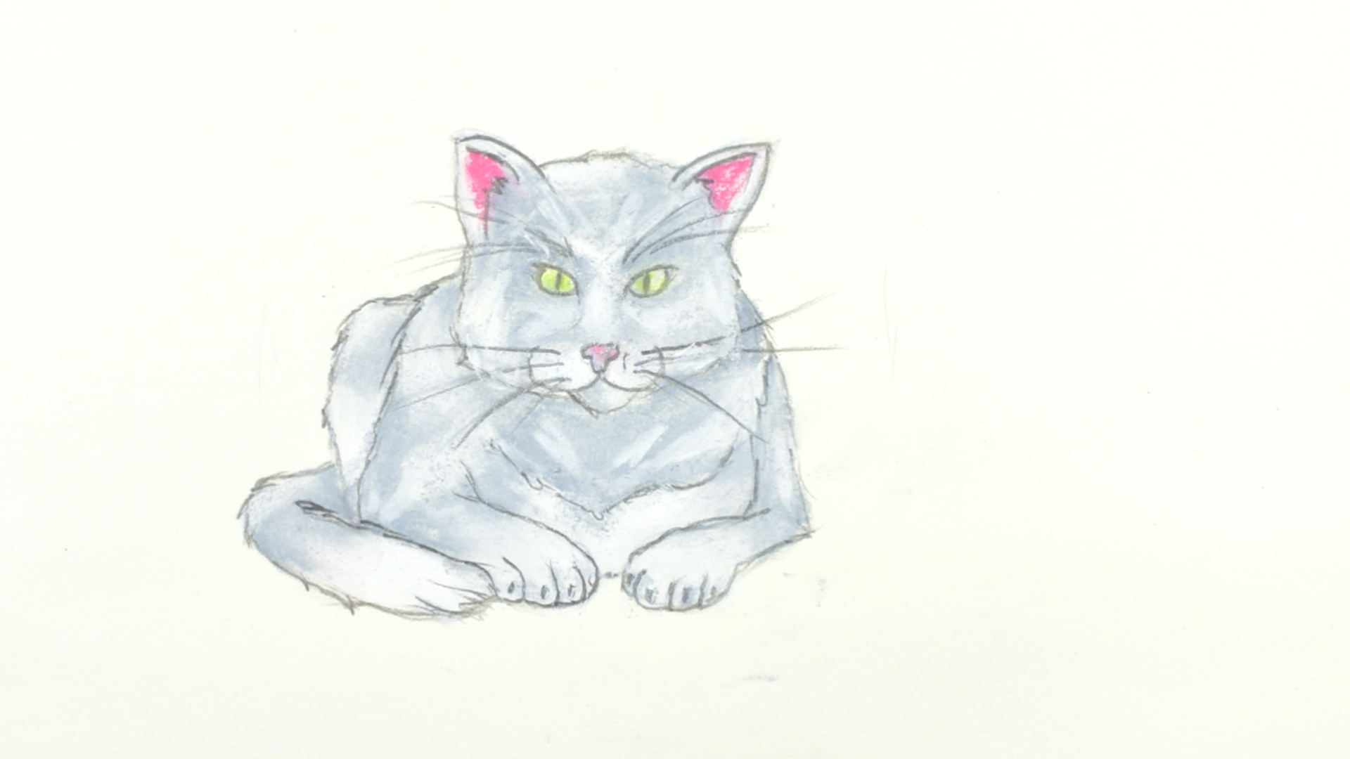 Detail Sketsa Gambar Kucing Nomer 47