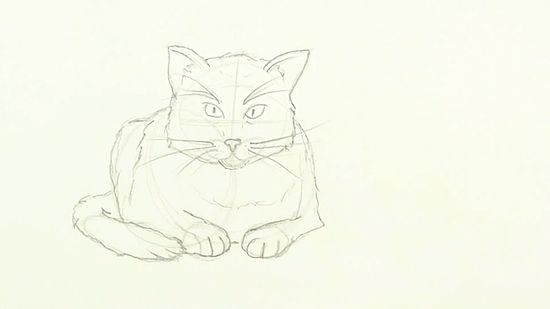 Detail Sketsa Gambar Kucing Nomer 49