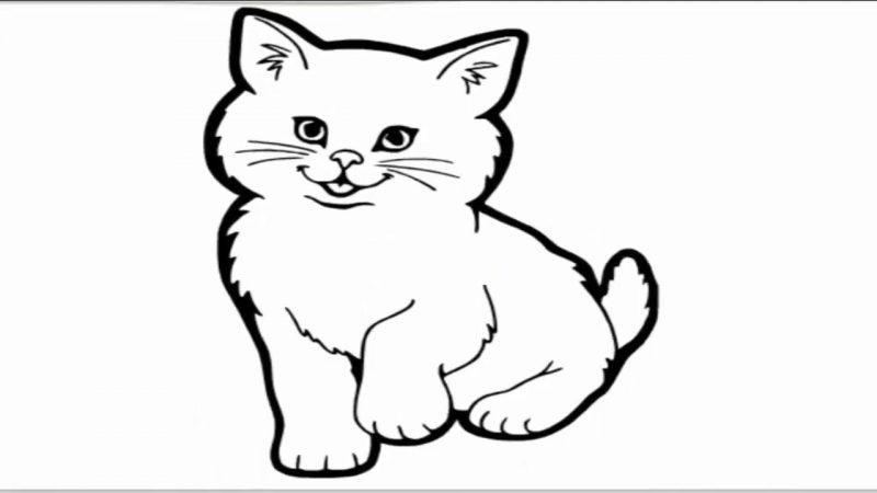 Detail Sketsa Gambar Kucing Lucu Nomer 15