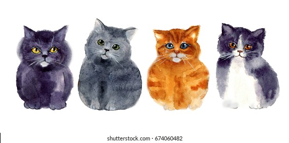 Detail Sketsa Gambar Kucing Lucu Nomer 50