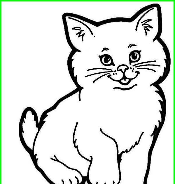 Detail Sketsa Gambar Kucing Sederhana Koleksi Nomer 13