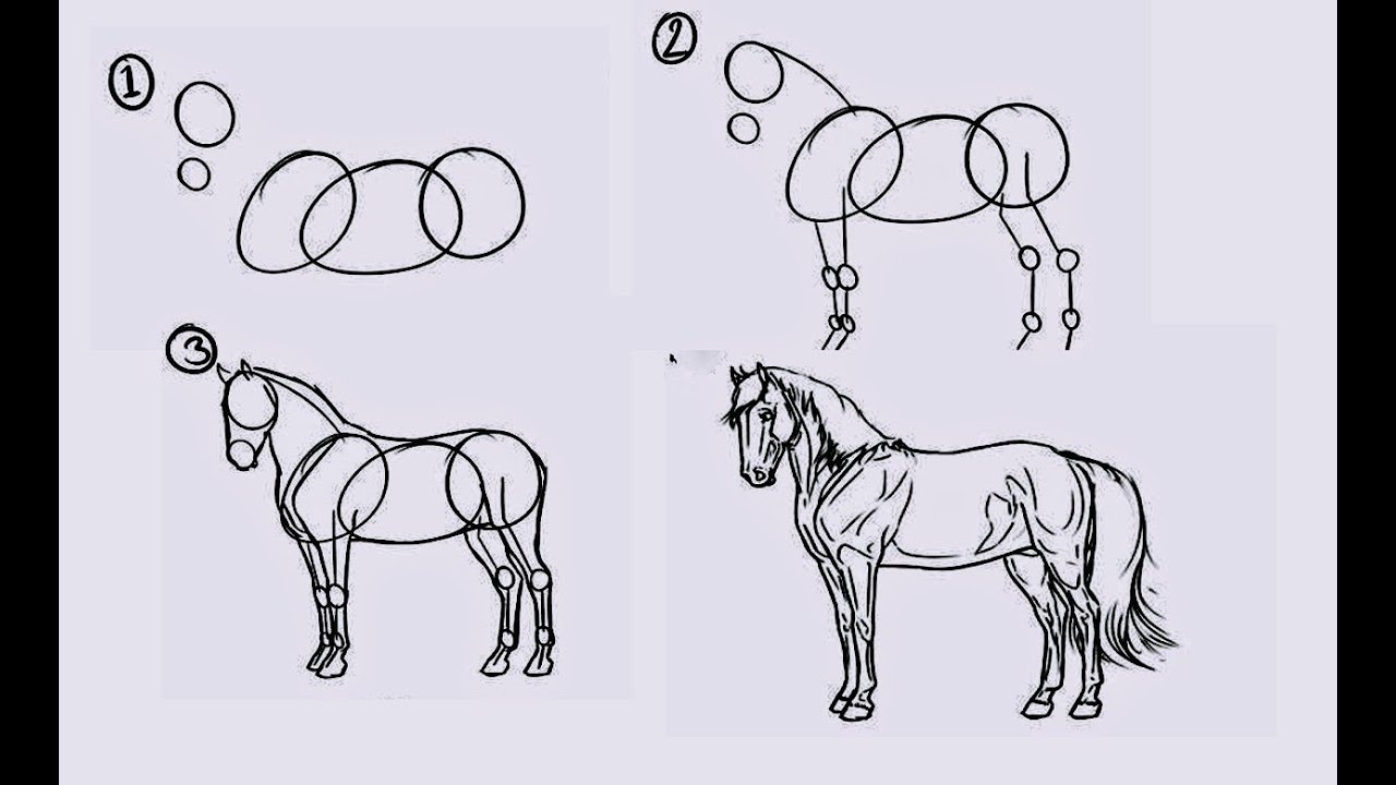 Detail Sketsa Gambar Kuda Nomer 15