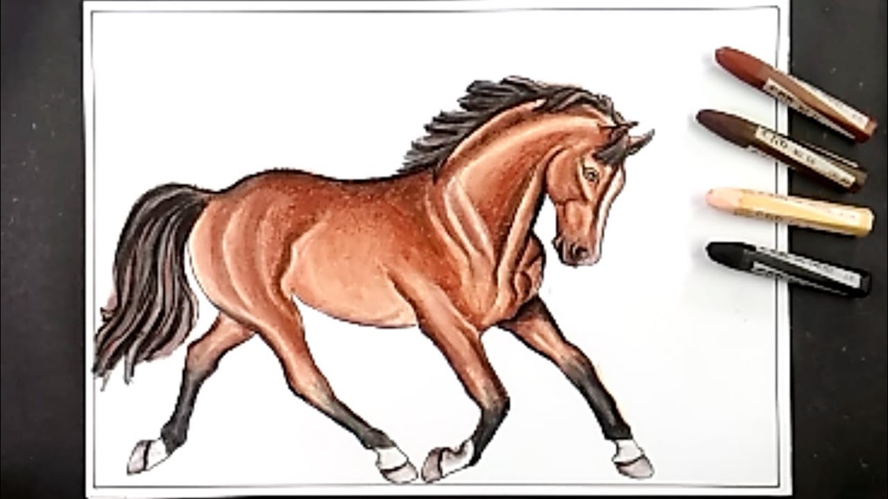 Detail Sketsa Gambar Kuda Nomer 49