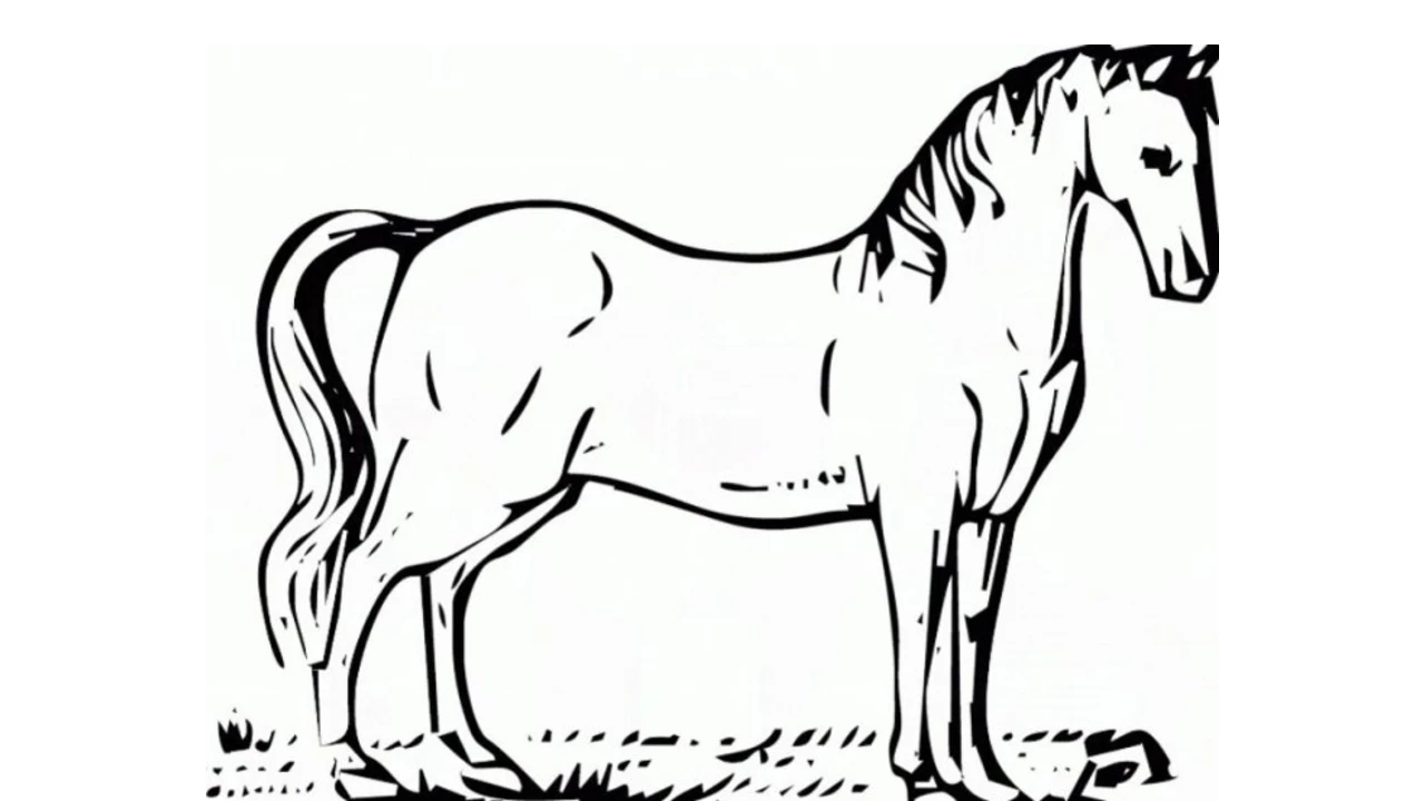 Detail Sketsa Gambar Kuda Nomer 10