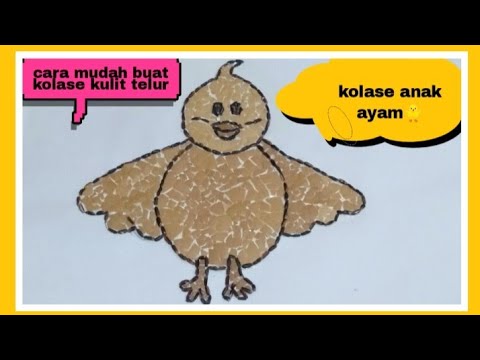 Detail Sketsa Gambar Kulit Telur Hewan Nomer 17