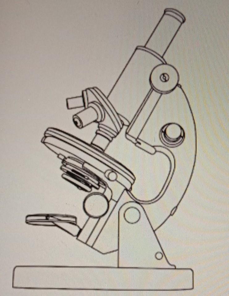 Detail Sketsa Gambar Mikroskop Nomer 19