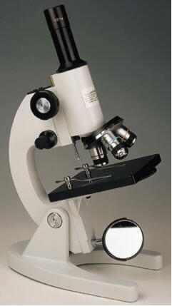 Detail Sketsa Gambar Mikroskop Nomer 52