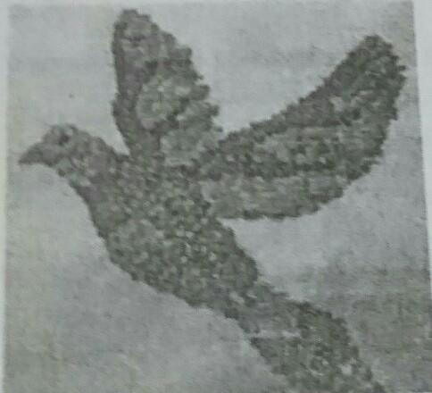 Detail Sketsa Gambar Mosaik Burung Nomer 49