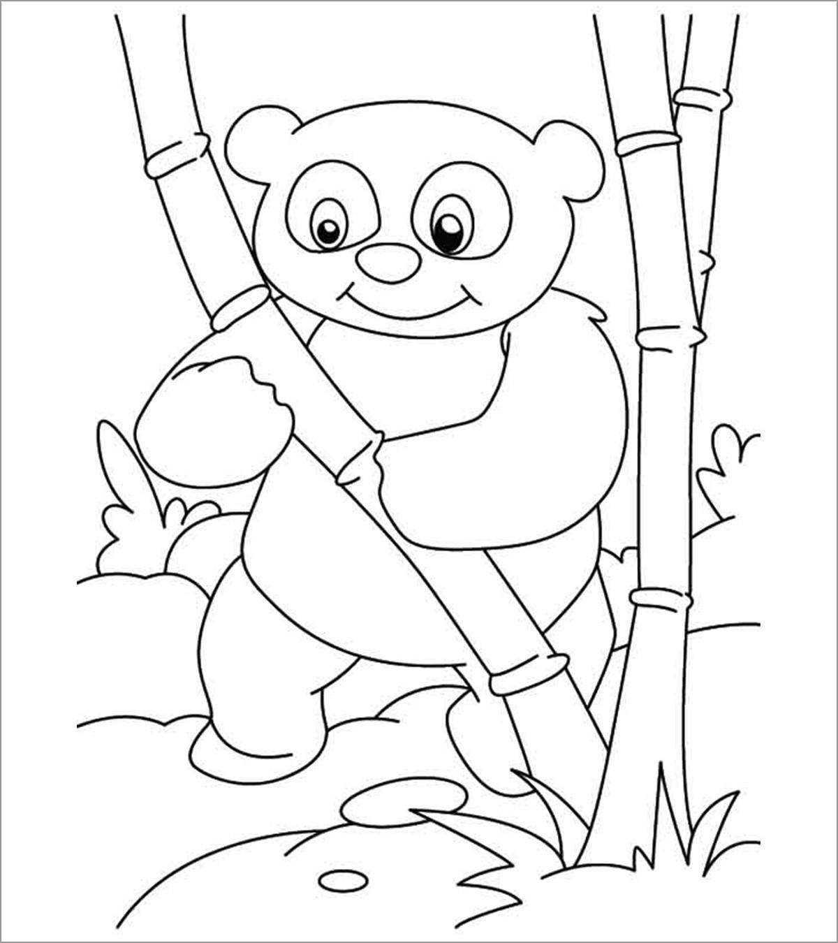 Detail Sketsa Gambar Panda Nomer 49